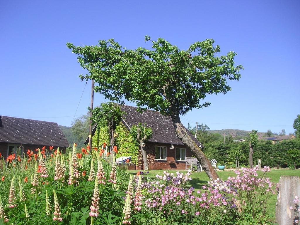 Myrtleberry Studio Bnb Appartement Castlemorton Buitenkant foto